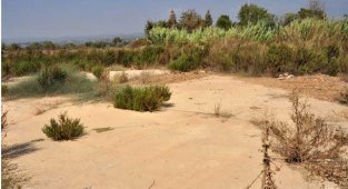 Manavgat’ta ‘üniversite kuracağız’ diyerek dolandırıcılık