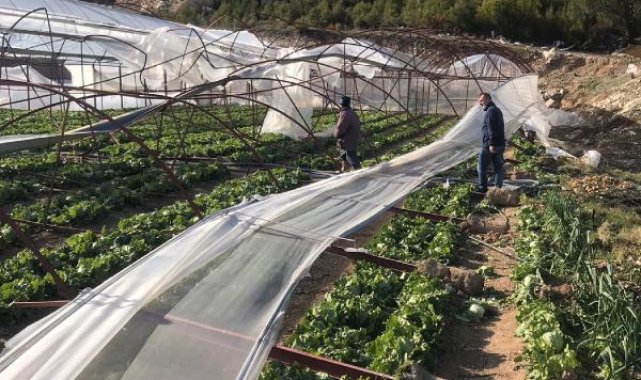 Fırtına marul serasını çökertti