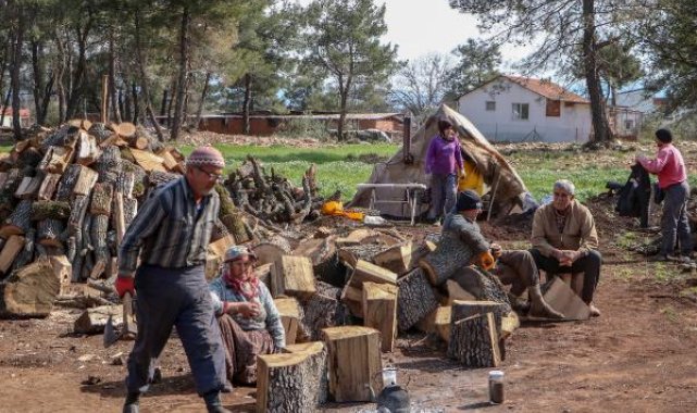Mangal kömürünün 'zahmetli' yolculuğu
