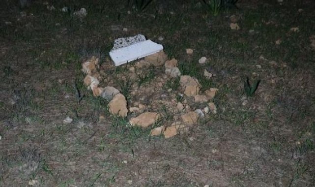 Ormandaki mezardan köpek ölüsü çıktı