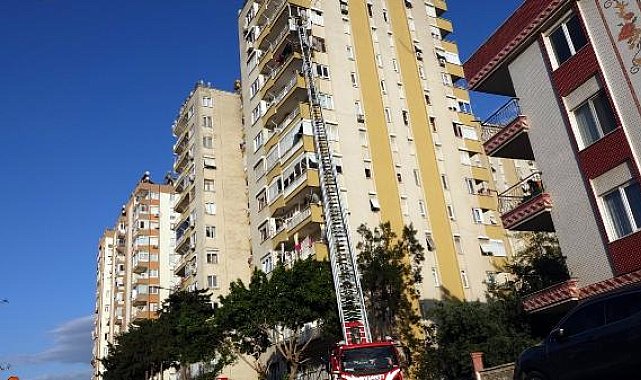 12'nci kattan 11'inci kata düşen 'Miço' itfaiye tarafından kurtarıldı