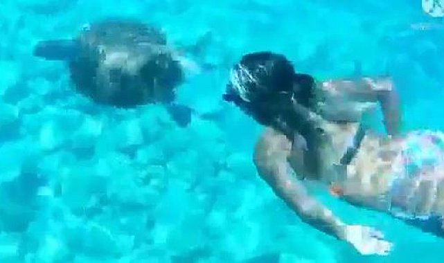 Anne ve kızı caretta caretta ile yüzdü, baba o anları görüntüledi