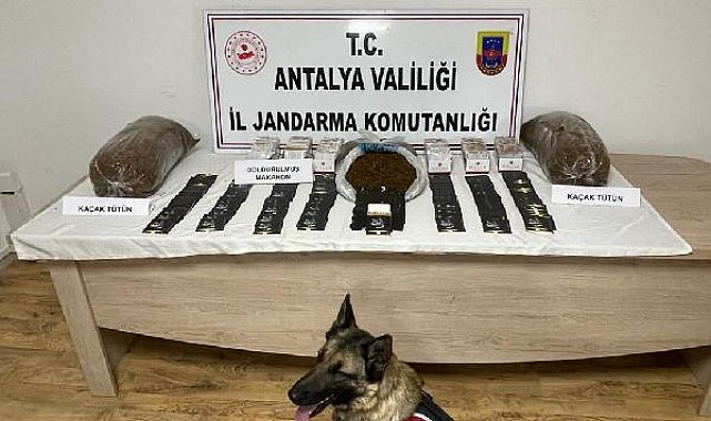 Jandarmadan kaçak tütün baskını