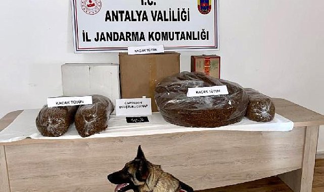 Jandarmadan kaçak tütün baskını