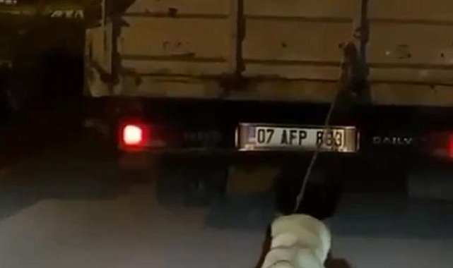Köpeği, kamyonetin arkasına bağlayıp sürükleyen sürücü aranıyor