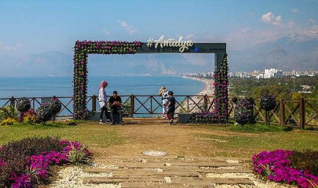 Nöbetçi personel de çiçeklerin çalınmasına önlem olmadı