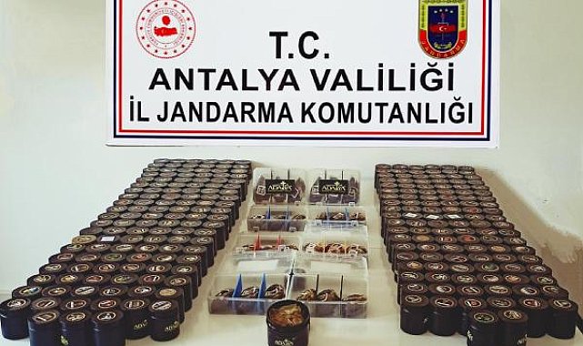 Otomobilde kaçak nargile tütünü yakalandı