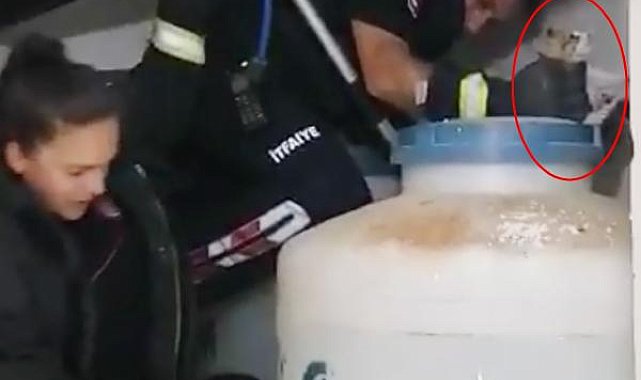 Su tankları arasında sıkışan kedi için seferber oldular