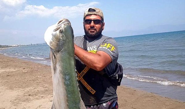 15 kiloluk liça balığı avladı