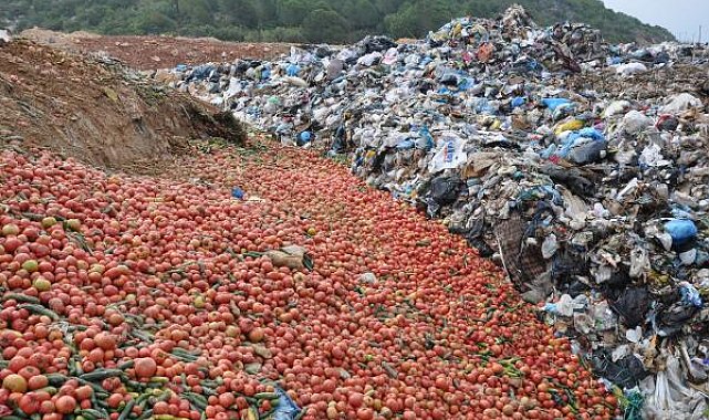 Antalya'da çöpe dökülen sebzelerle ilgili açıklama: Sofraya uygun değiller