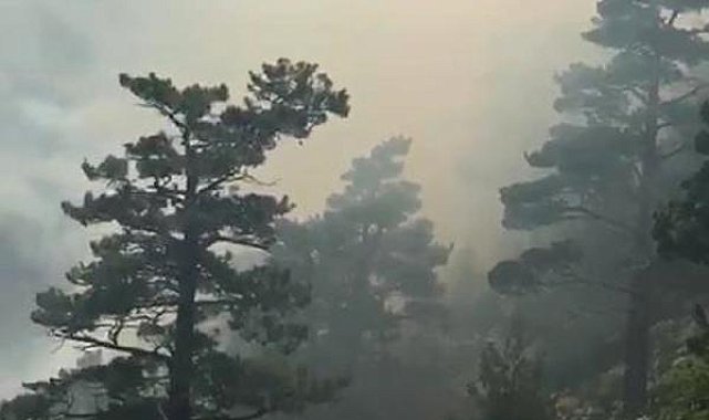 Antalya'da orman yangını