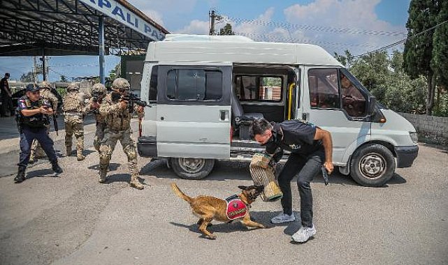 Jandarma köpeği 'Kadro', hassas burnuyla kundaklamayı tespit ediyor