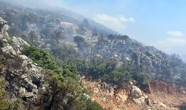 Kaş'ta makilik yangını