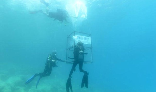 Kaş'ta, su altına atık konteyneri indirildi
