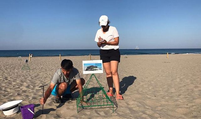 Patara Plajı'nda 86 caretta caretta yuva yaptı