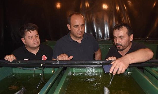 Sarıağız üretilip, ekonomiye kazandırılacak