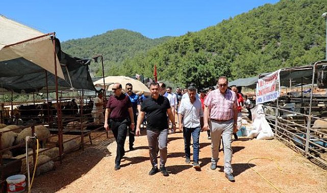 Kapalı hayvan pazarı ve kurban satış yeri açıldı