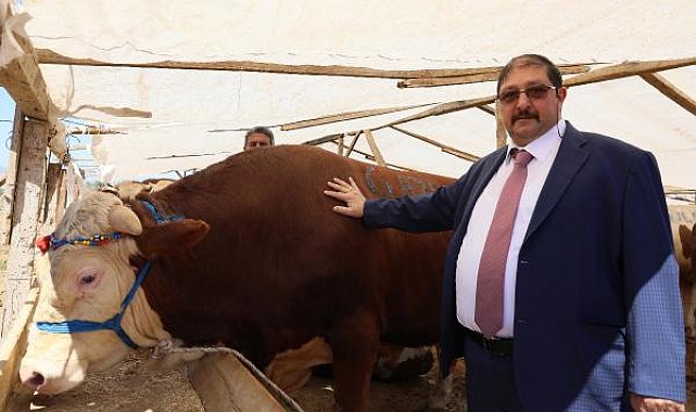 Kurban pazarları, ulaşım giderine yenik düştü