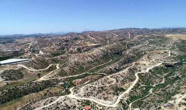 Manavgat'ta yanan alanlarda yaban hayatı yeniden canlanıyor