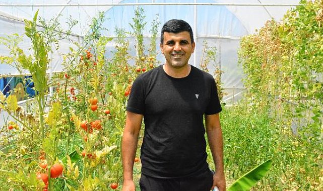 Manavgat Gençlik Merkezi serasında yetişen sebzeler ihtiyaç sahiplerine dağıtılıyor