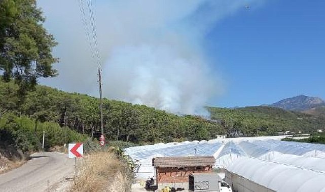 Antalya'da orman yangını