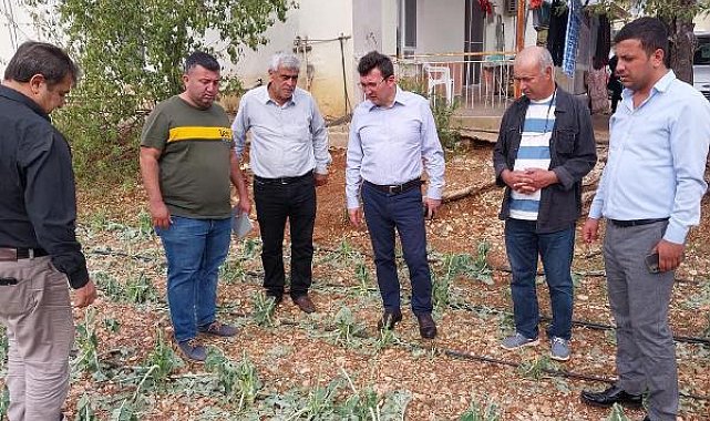 Doludan 102 çiftçinin 305.5 dekar alanı zarar gördü