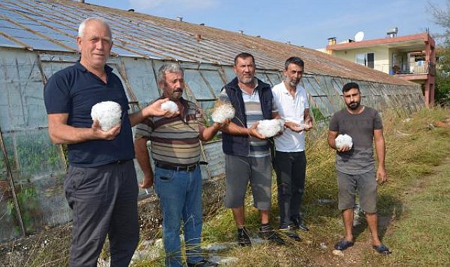 Serik'te dolu, tarım alanlarını vurdu