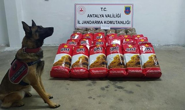 Yolcu otobüsünde 150 kilogram kaçak tütün ele geçirildi