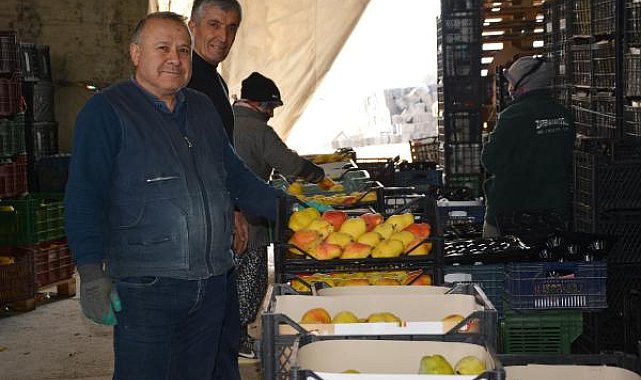 Armut ve ayvada hareketlilik sürüyor