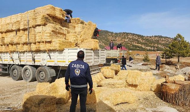 Konyaaltı'ndan afetzede üreticilere yem ve saman desteği
