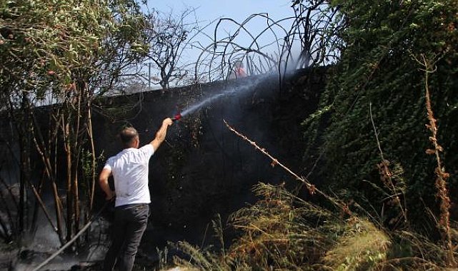 Ağaçlıktaki yangın büyümeden söndürüldü