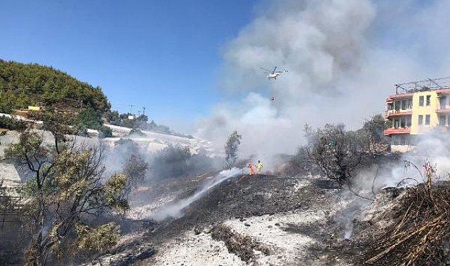 Alanya'da çalılık yangını