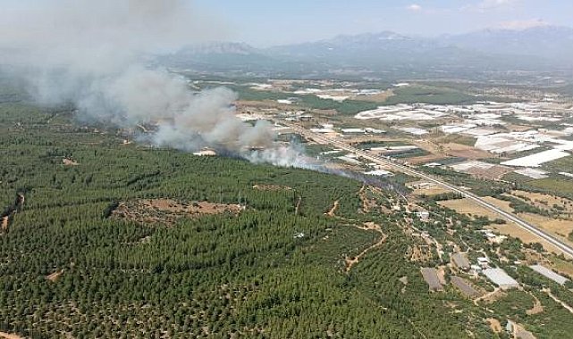Antalya'nın 2 ilçesinde orman yangını