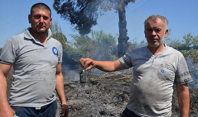 Sazlık yangını seralara sıçramadan söndürüldü