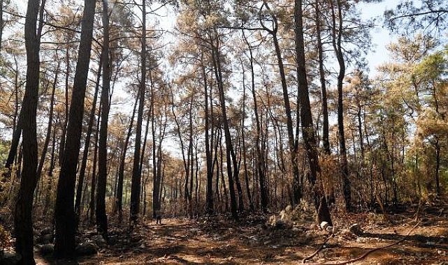 Soğutma çalışması yapan pilotlara taşlarla yazılan mesaj moral oldu