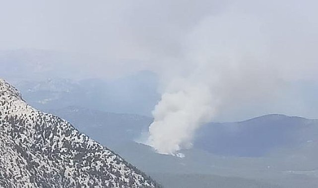 Antalya'da orman yangını