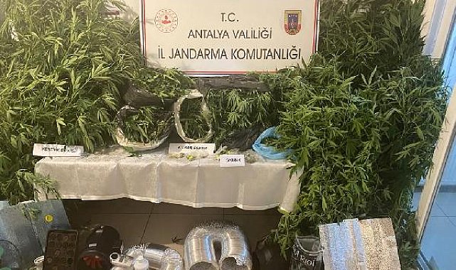 Jandarmadan uyuşturucu operasyonu