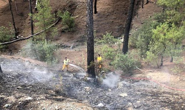 Kumluca'da orman yangını büyümeden söndürüldü