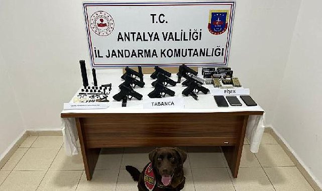 Manavgat'ta silah kaçakçılığı operasyonu