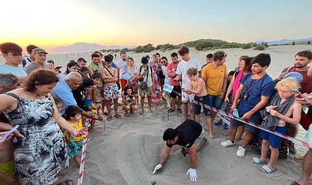 Patara'da deniz kaplumbağası yuva sayısında rekor