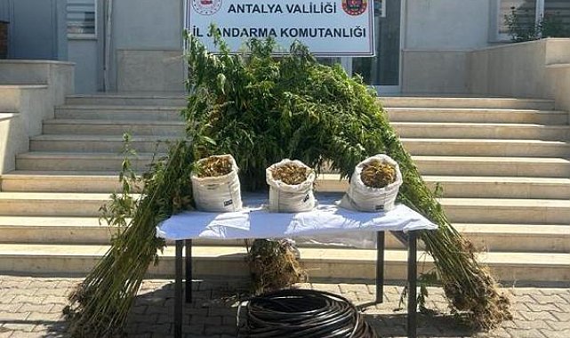Serik'te jandarmadan uyuşturucu operasyonu