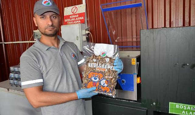 Sokaktaki sevimli dostların mamaları Kepez'den