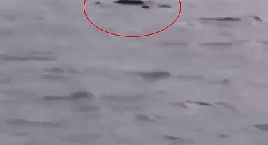 4 gündür kayıp Damla'nın denizde cansız bedeni bulundu