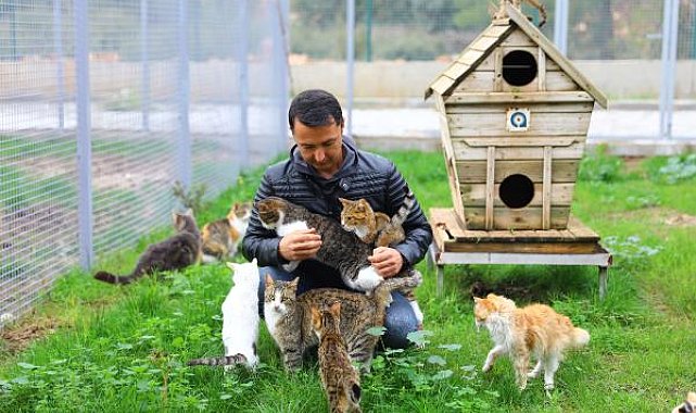 Büyükşehir'den can dostlara modern bakım ev hizmeti