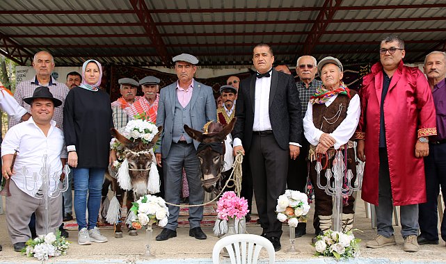 'Nesli tükenmesin' diye eşeklere sembolik nikah kıydılar