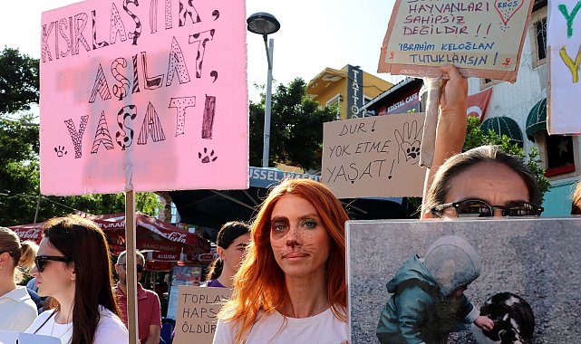 Sokak hayvanlarına yasal düzenlemeye tepki