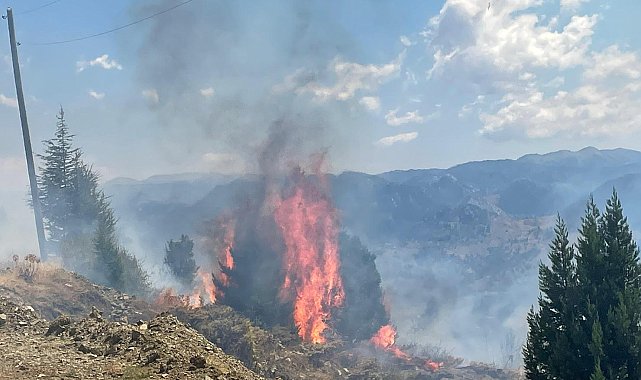 Alanya'da makilik yangını