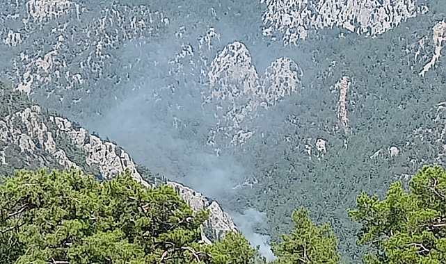 Antalya'da orman yangını