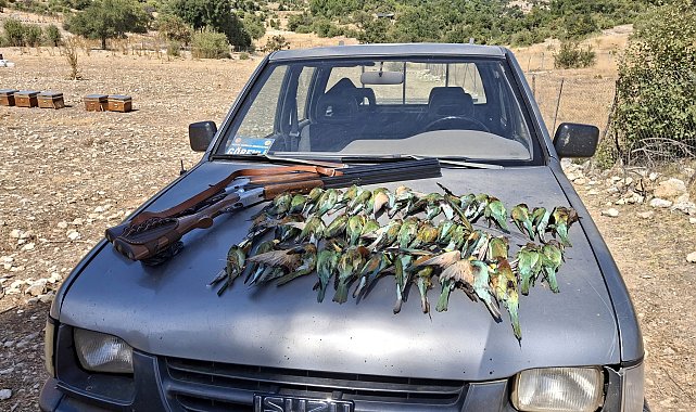 Koruma altındaki 45 arı kuşunu tüfekle öldürdüler