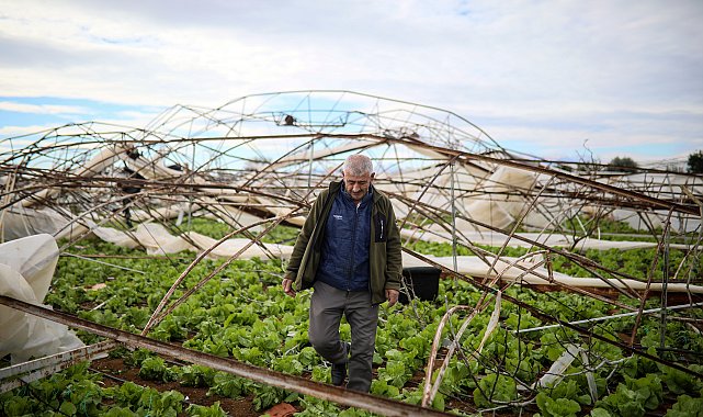 Antalya'da fırtına, yağmur ve hortum 4 bin 500 dekar tarım arazisine zarar verdi